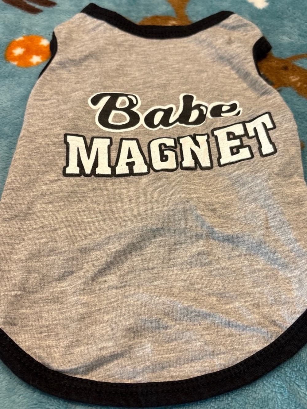 Grey "Babe Magnet" Small Pet Tank Top with Black Trim small/medium